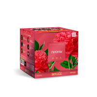 Пионы Салют купить в Кандалакше | kandalaksha.salutsklad.ru