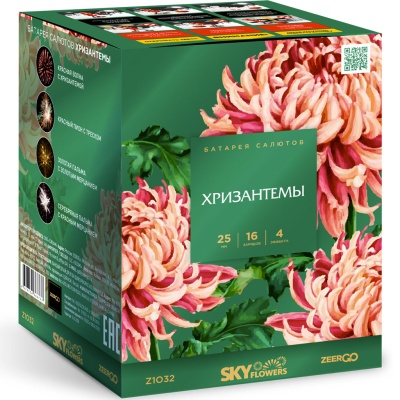 Хризантемы Фейерверк купить в Кандалакше | kandalaksha.salutsklad.ru