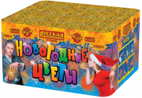 Новогодние цветы Фейерверк купить в Кандалакше | kandalaksha.salutsklad.ru