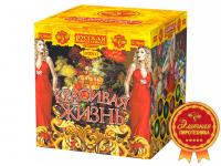 Красивая жизнь Фейерверк купить в Кандалакше | kandalaksha.salutsklad.ru