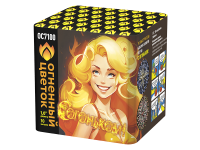 С огоньком! Фейерверк купить в Кандалакше | kandalaksha.salutsklad.ru