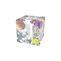 Новогодняя ночь Салют купить в Кандалакше | kandalaksha.salutsklad.ru