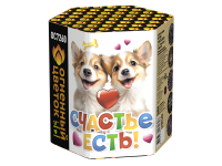 Счастье есть! Салют купить в Кандалакше | kandalaksha.salutsklad.ru