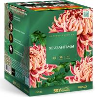 Хризантемы Фейерверк купить в Кандалакше | kandalaksha.salutsklad.ru