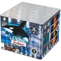 Косатка Фейерверк купить в Кандалакше | kandalaksha.salutsklad.ru