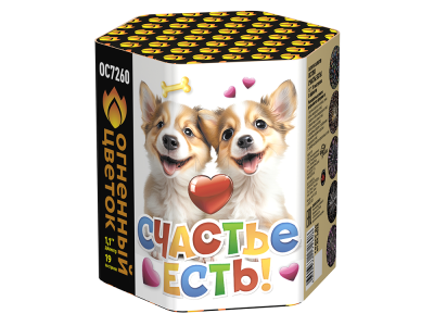 Счастье есть! Салют купить в Кандалакше | kandalaksha.salutsklad.ru